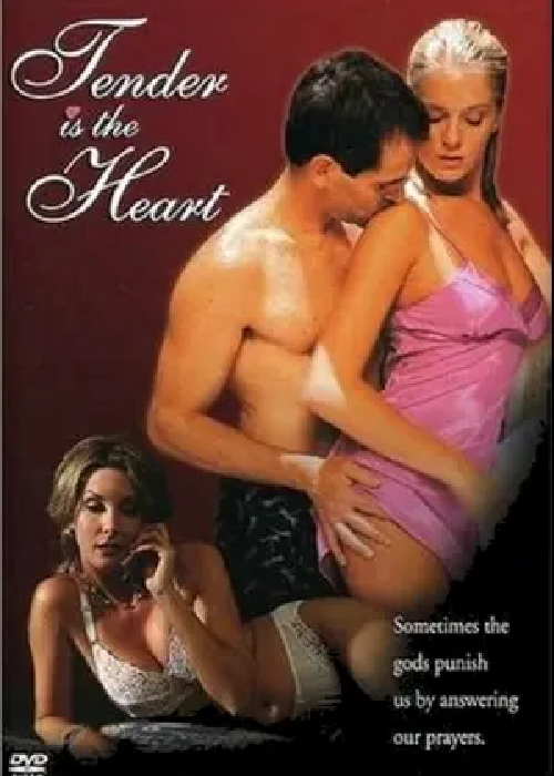 iptv chaine adulte banner